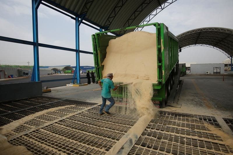 El Niño provoca déficit na produção de açúcar no Brasil, Índia e Europa