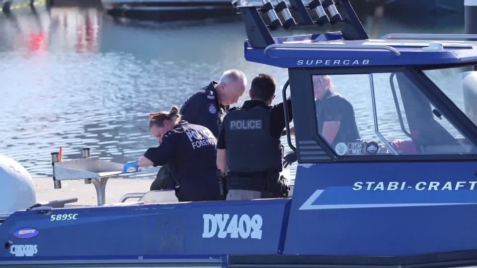Ataque de tubarão leva à terceira morte na Austrália em três semanas