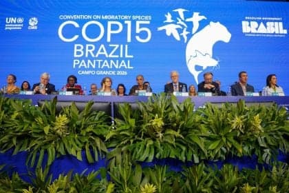 CMS Aumenta Proteção Internacional para Espécies em Perigo no Brasil