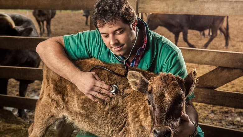 Medicina Veterinária agora é crime sem registro no Brasil