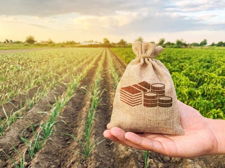 Crédito rural em baixa: desafios impactam nova safra agrícola