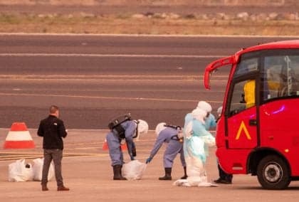 Incêndios na Patagônia provocam surto de hantavírus