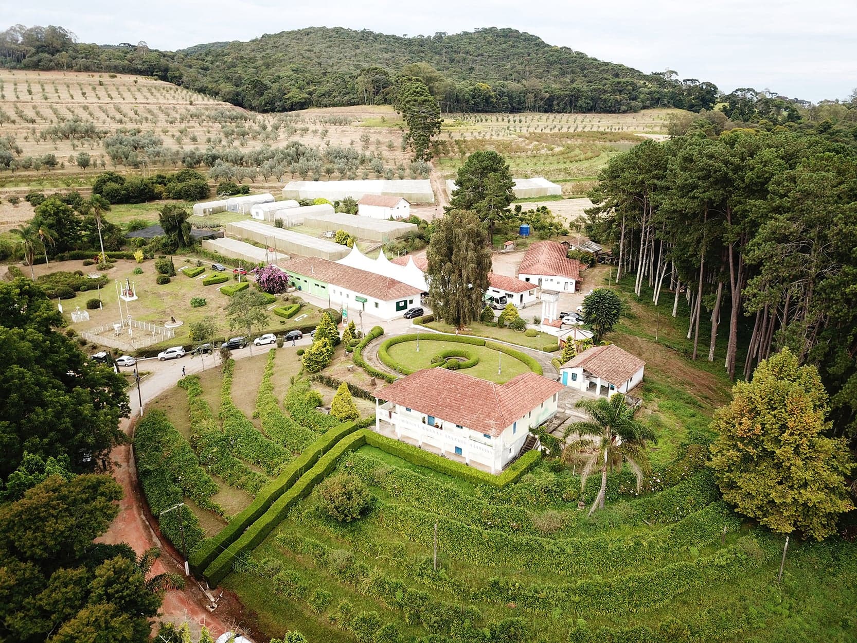 Azeitech 2023: Inovações em Olivicultura em Maria da Fé