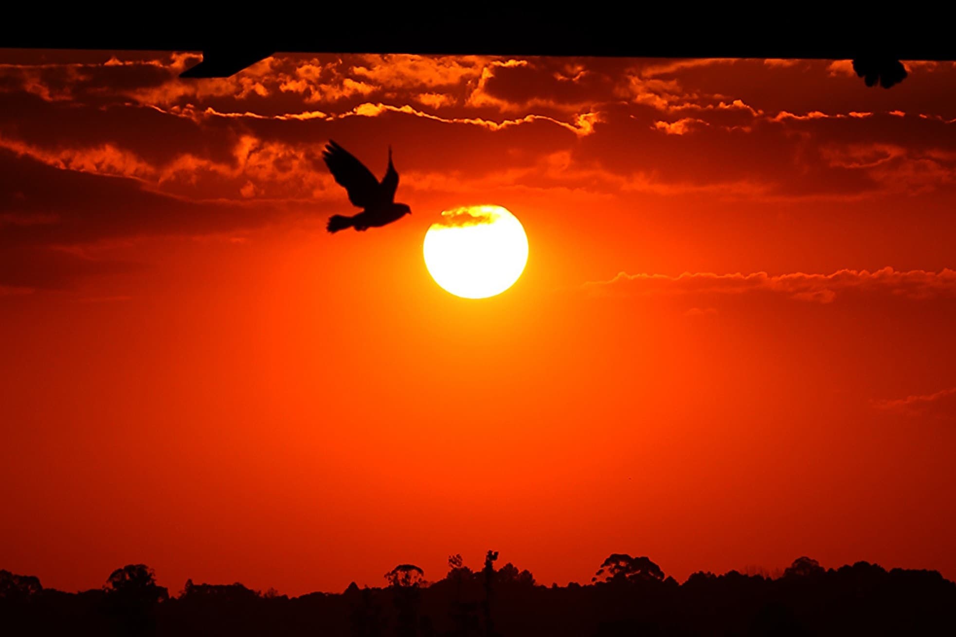 Clima quente marca agosto em grande parte do Brasil