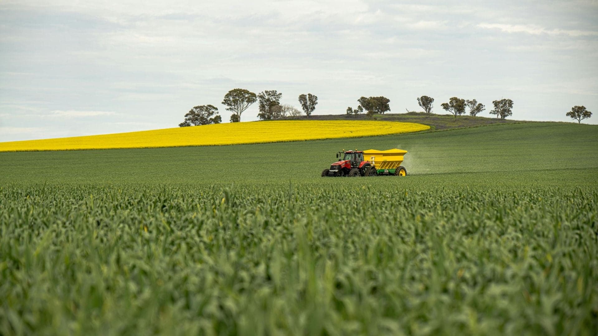 Aumento de Leilões de Propriedades Rurais Reflete Crise no Setor Agrícola