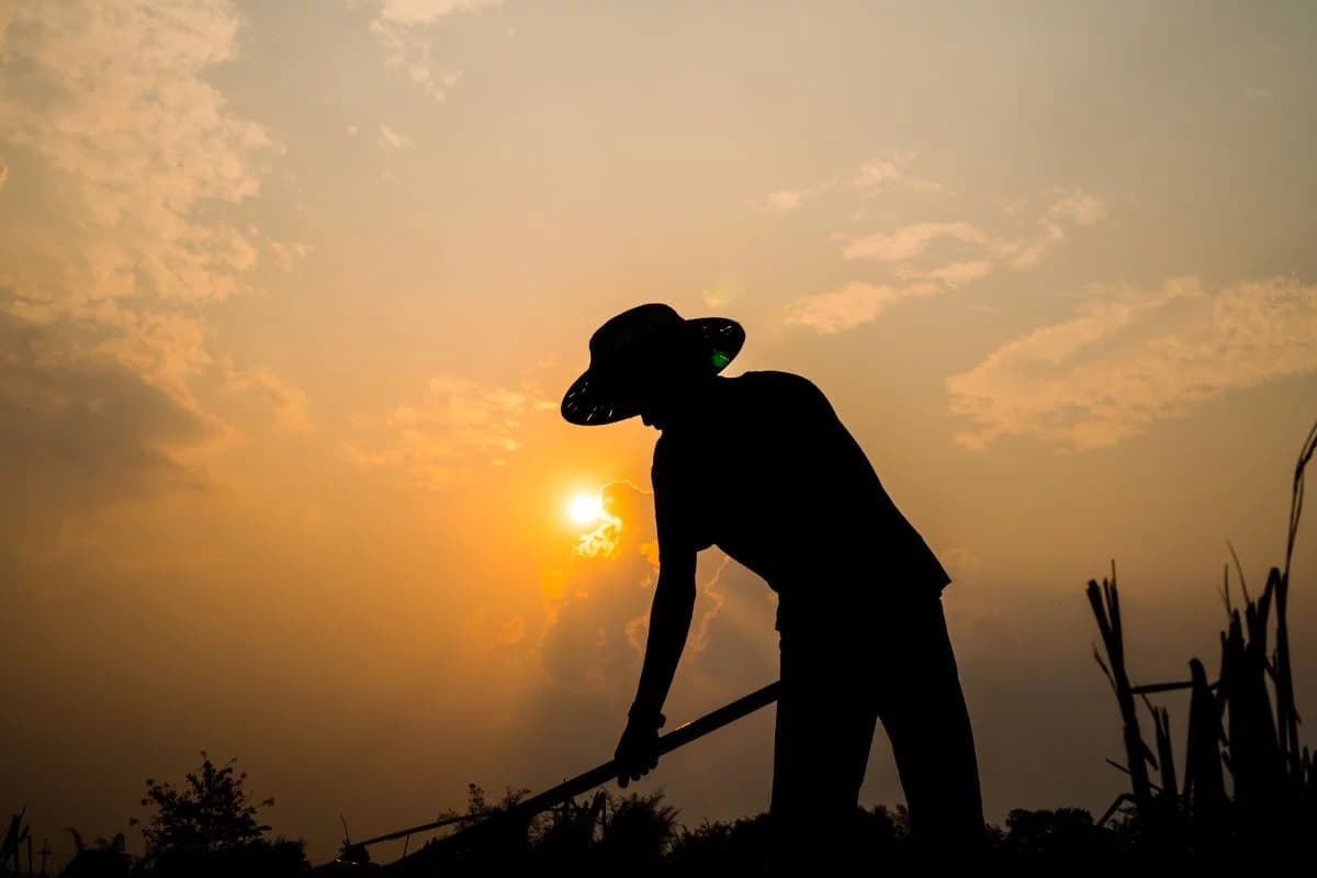 Senado Avança em Novo Marco para o Trabalho Rural com Proposta de Margareth Buzetti