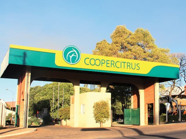 Yara e Coopercitrus firmam acordo para descarbonização de cafeicultura