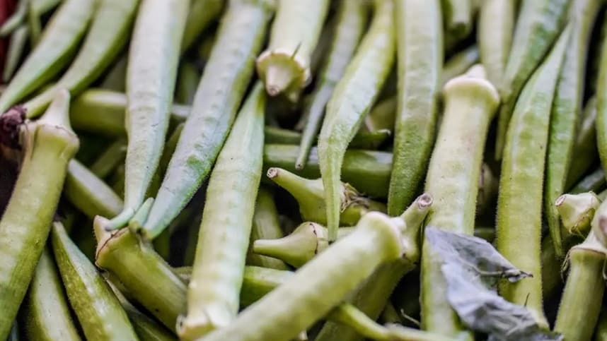 Governo anuncia benefícios do Garantia-Safra 2024-2025