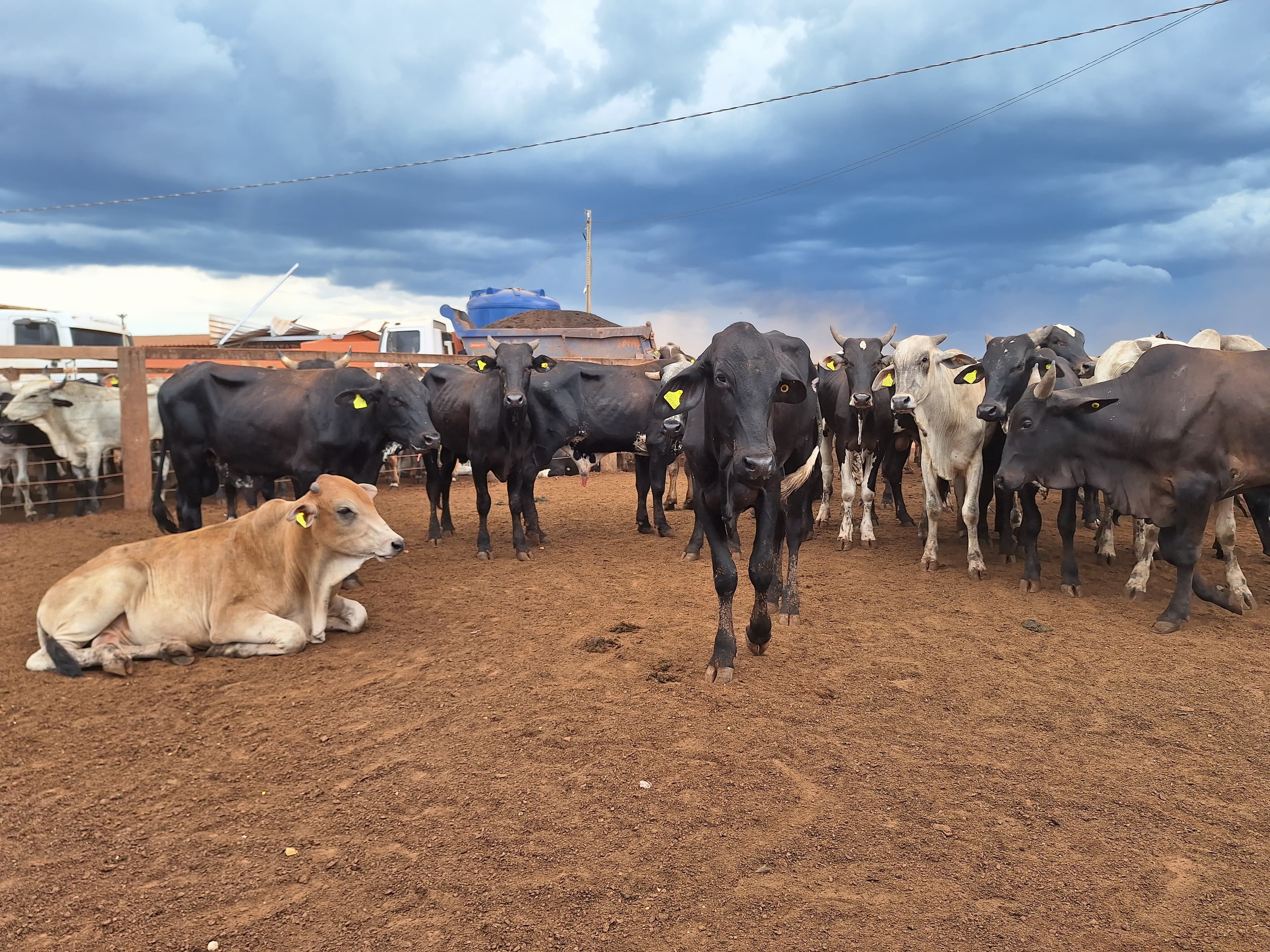 JBJ Agropecuária encerra compra de Fazenda Conforto em Goiás