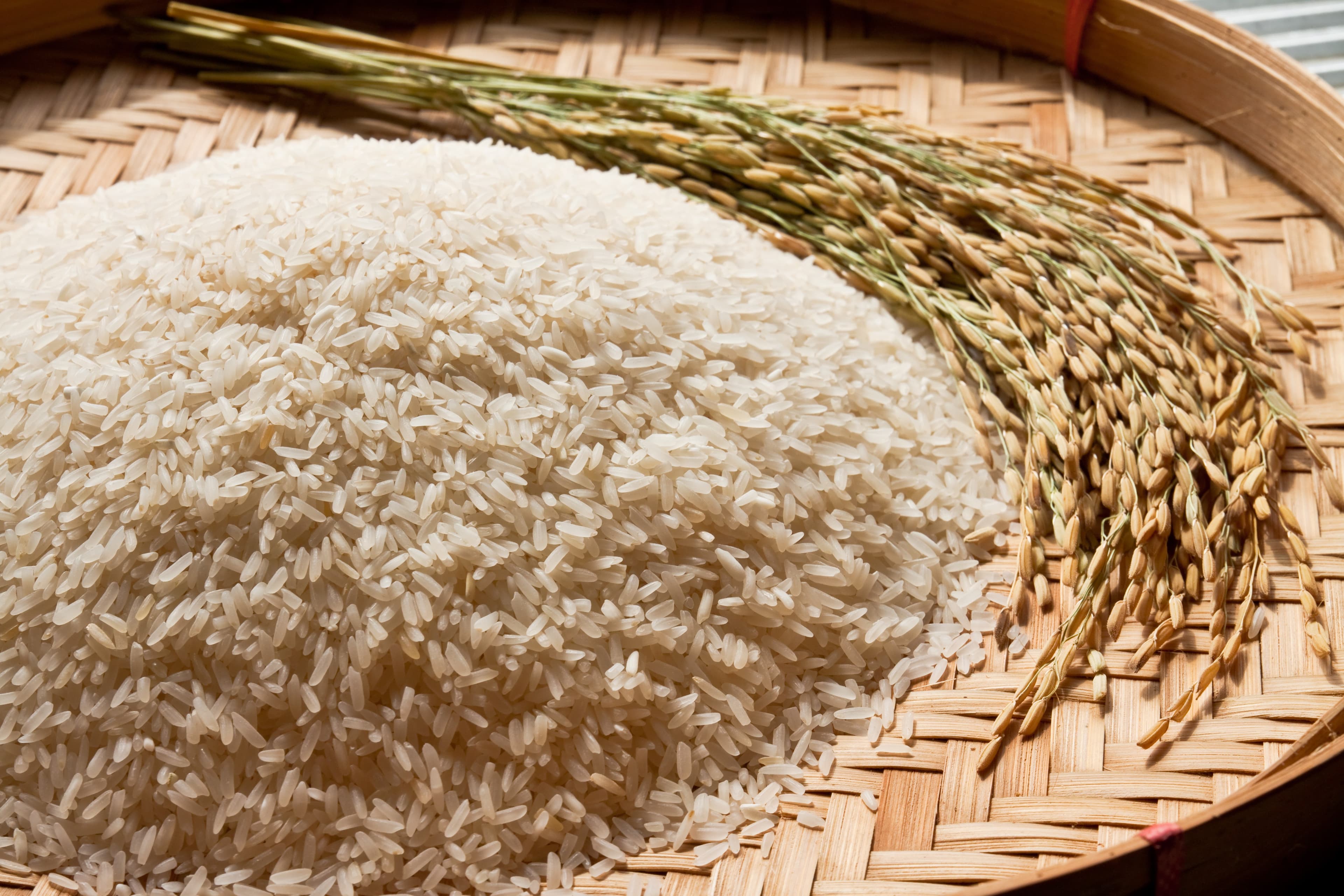 Preços do arroz em casca sobem no Rio Grande do Sul por demanda elevada