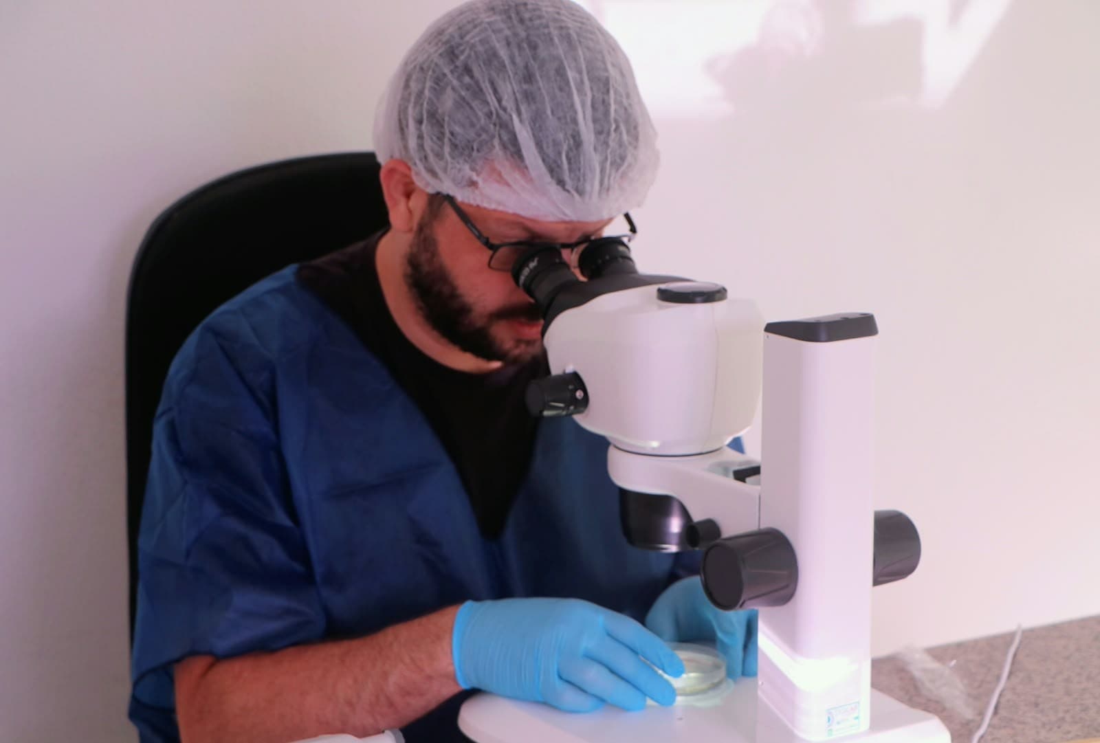 UFV realiza primeira produção in vitro de embriões de jumentos nordestinos