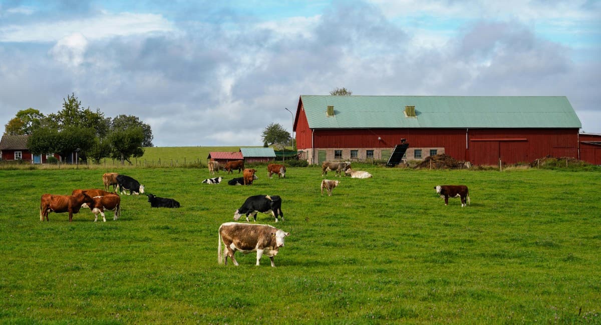 Produtor rural da Pensilvânia rejeita oferta de US$ 15 milhões