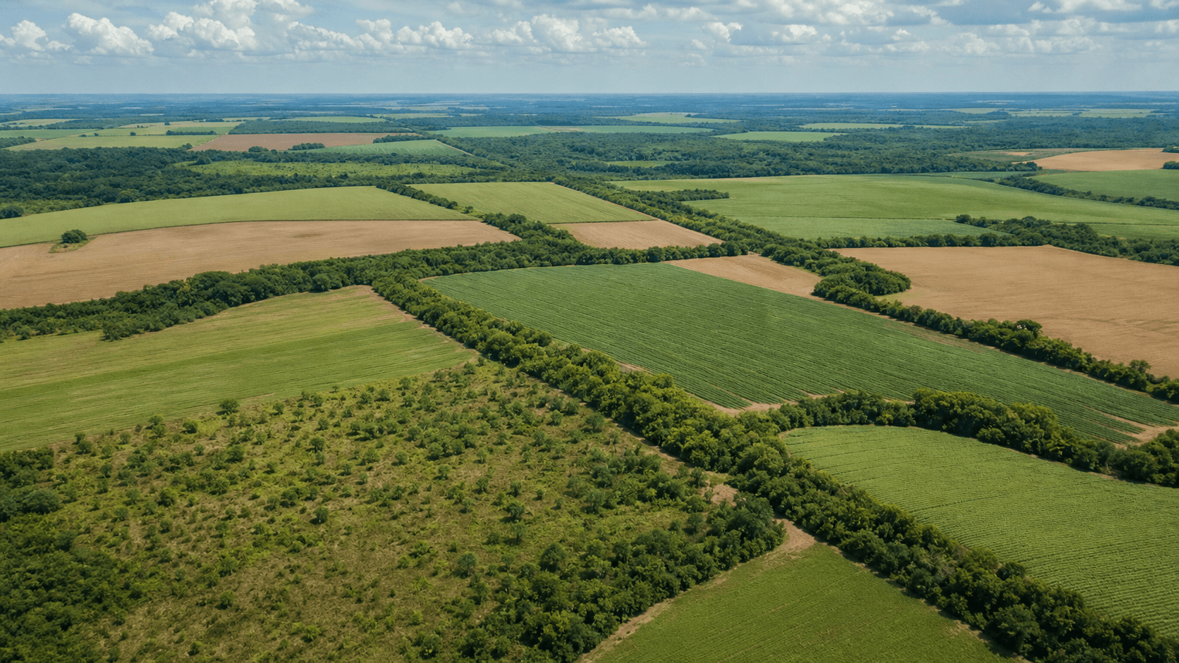 Brasil destaca agricultura sustentável na London Climate Action Week
