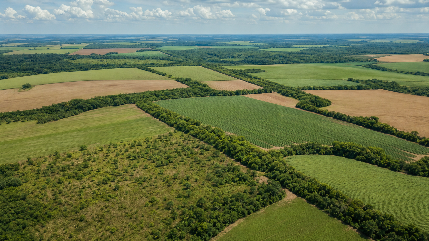 Brasil destaca agricultura sustentável na London Climate Action Week