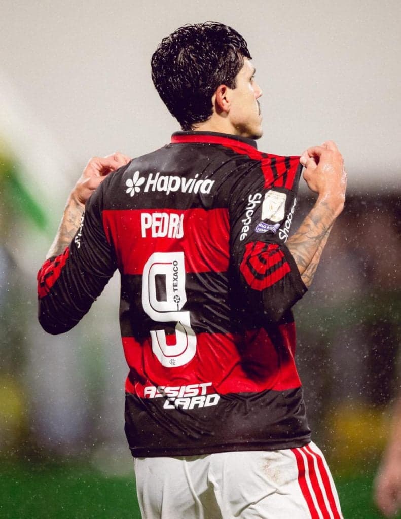 Felipe Melo critica atuação de Pedro em vitória do Flamengo