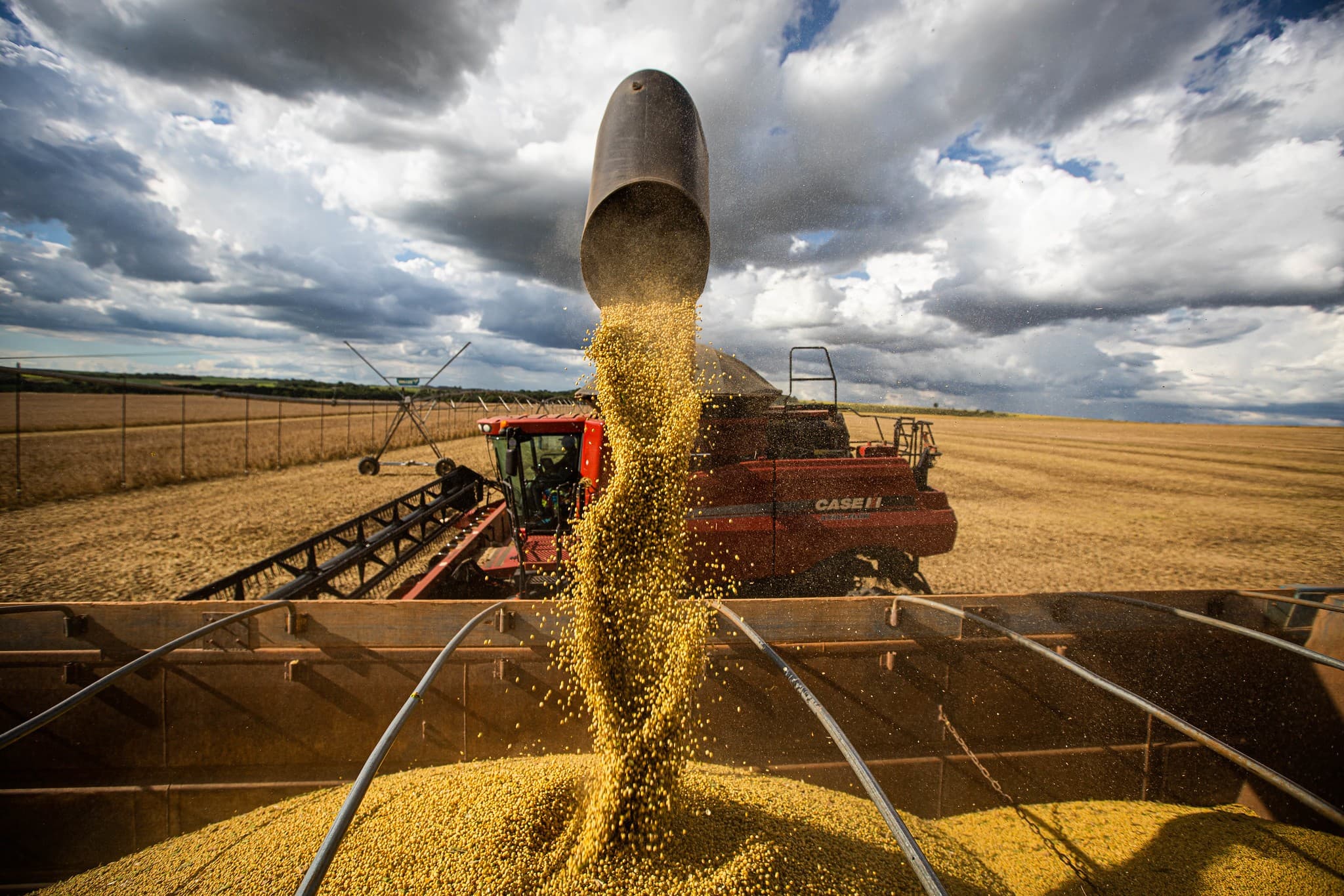 Sapezal ultrapassa Sorriso como o município com maior valor de produção agrícola do Brasil