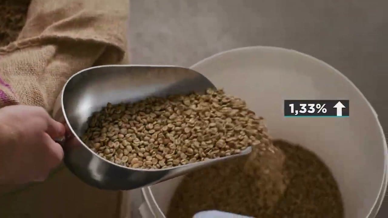 Colheita de café no Brasil sofre desaceleração e impacto nos preços