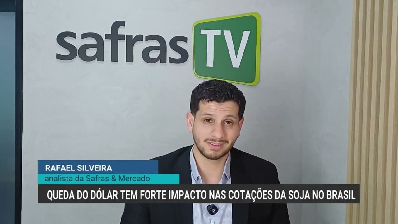 Queda nas cotações da soja preocupa produtores brasileiros