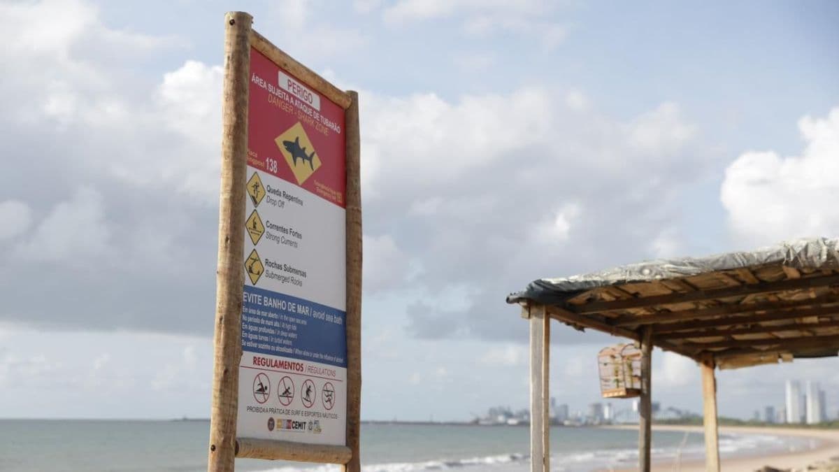 Ataques de tubarão em Pernambuco deixam duas pessoas gravemente feridas