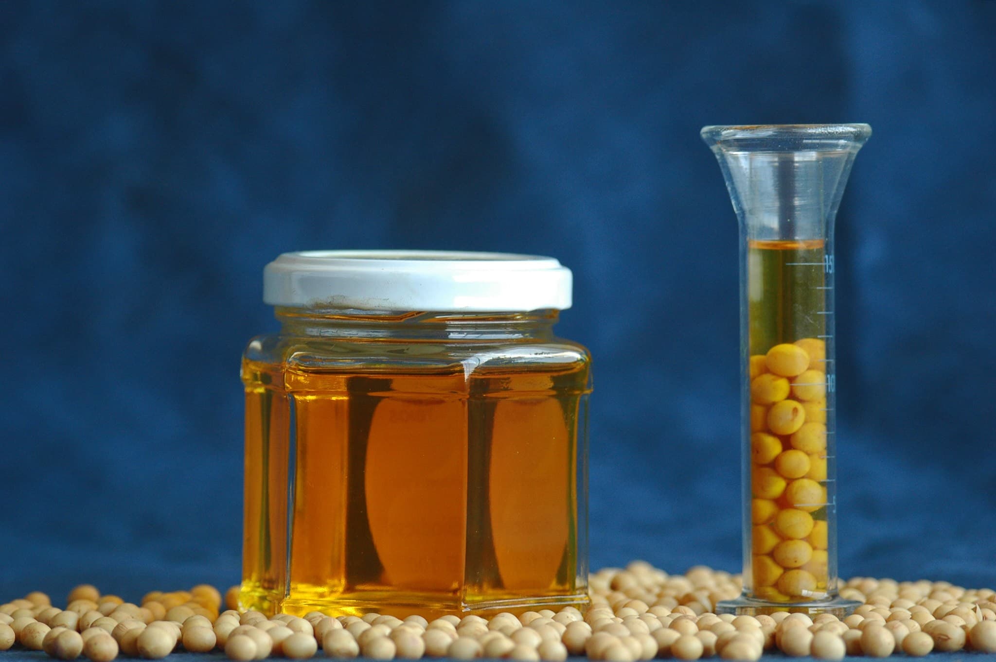 Chicago: Preço da Soja em Estabilidade Após Expectativa por Novas Diretrizes do Governo Trump