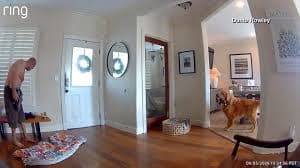 Cachorro Interage de Forma Divertida com Ladrão Durante Invasão