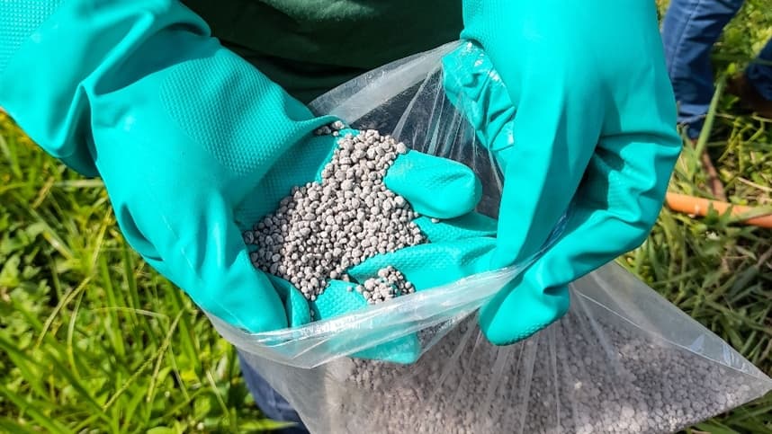 Relação de troca prejudica produtores de soja no Brasil