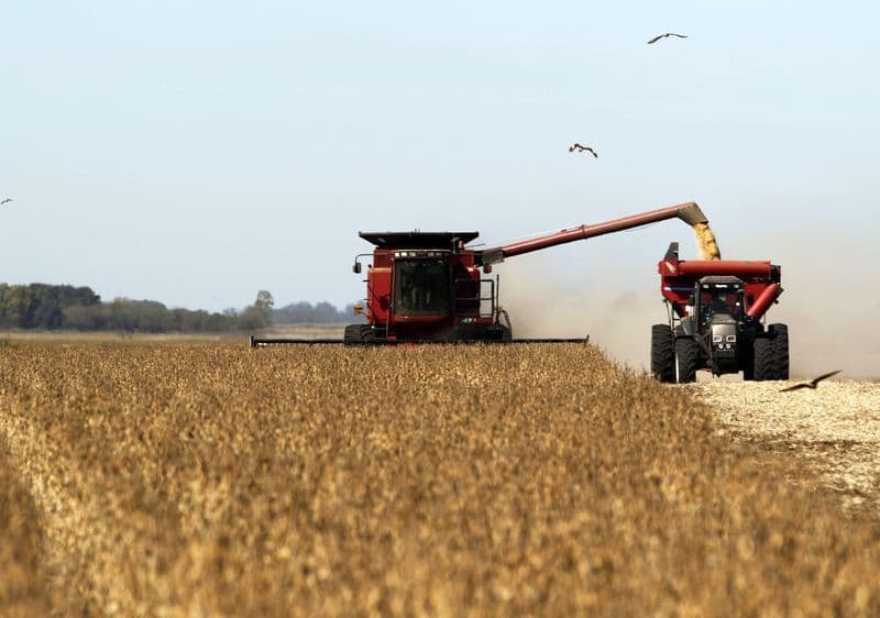 Soja: produtores argentinos retêm 60% da safra de 2025/26