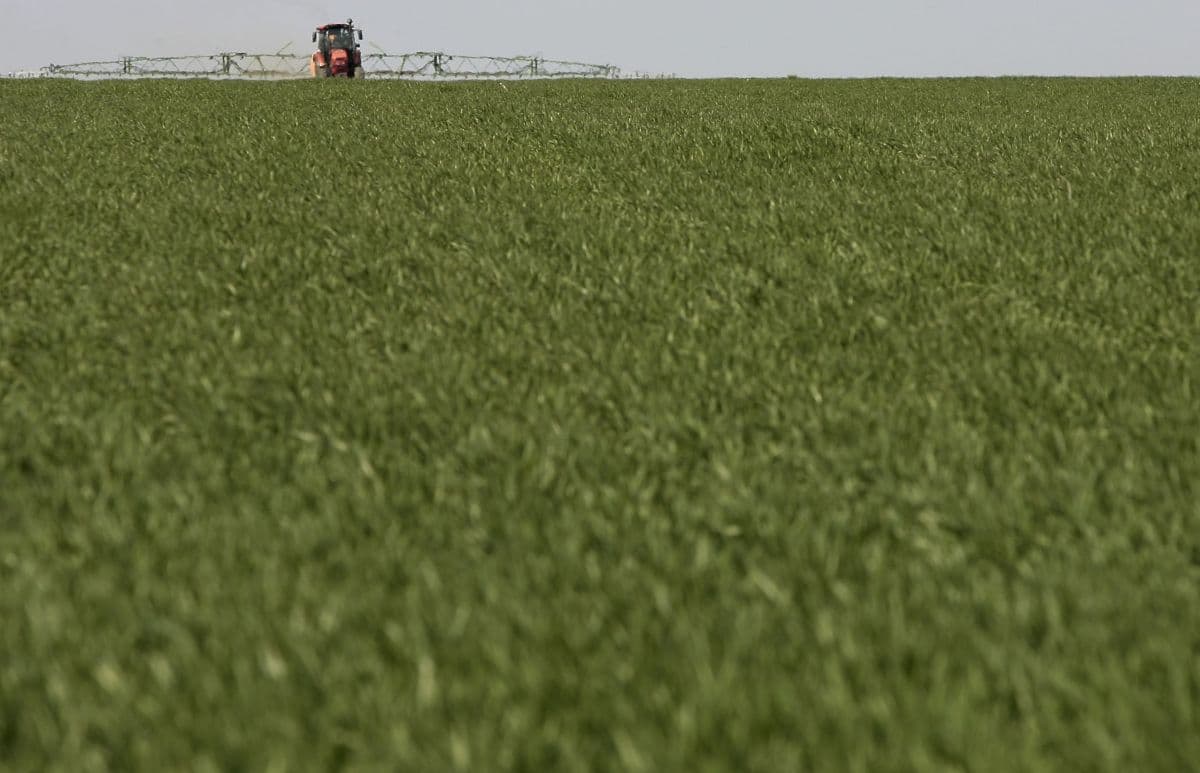 Agricultura regenerativa ganha força entre empresas globais