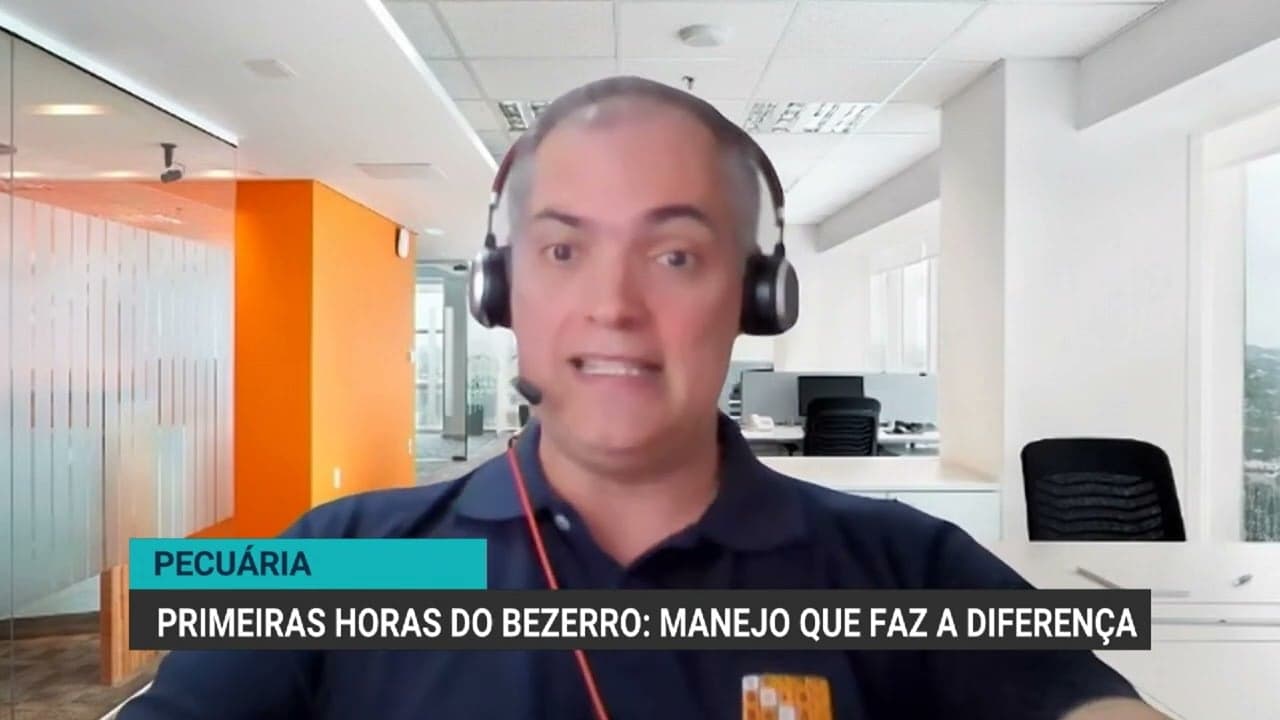 Colostragem adequada é vital para a saúde dos bezerros