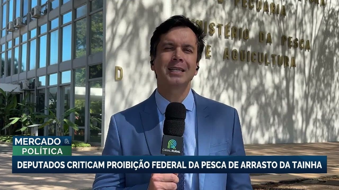Governo concede cota extra de tainha após pressão de parlamentares