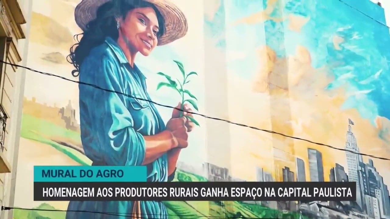 ONU declara 2026 Ano Internacional da Mulher Agricultora
