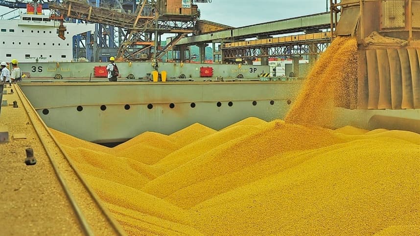 Mercados agrícolas enfrentam volatilidade e expectativa de demanda