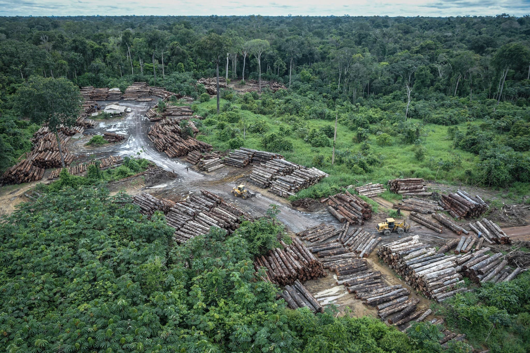 Desmatamento na Amazônia atinge menor nível em uma década