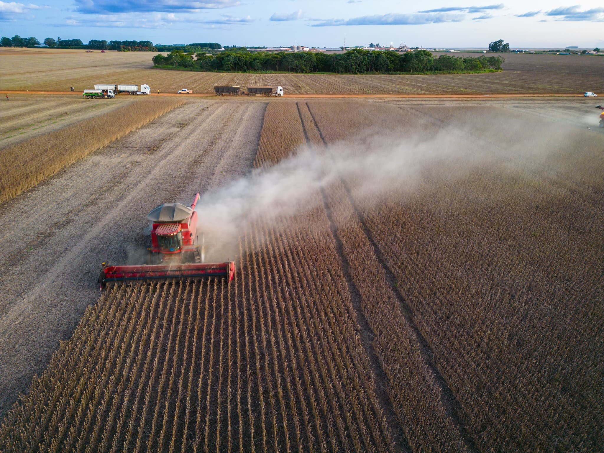Produção agrícola do Brasil atinge R$ 927,2 bilhões em 2025