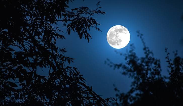 Lua hoje (29/07): veja qual é a fase da Lua nesta quarta-feira