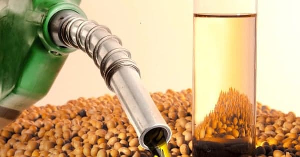 Biodiesel: Setor busca aumentar mistura para 16% em 2026