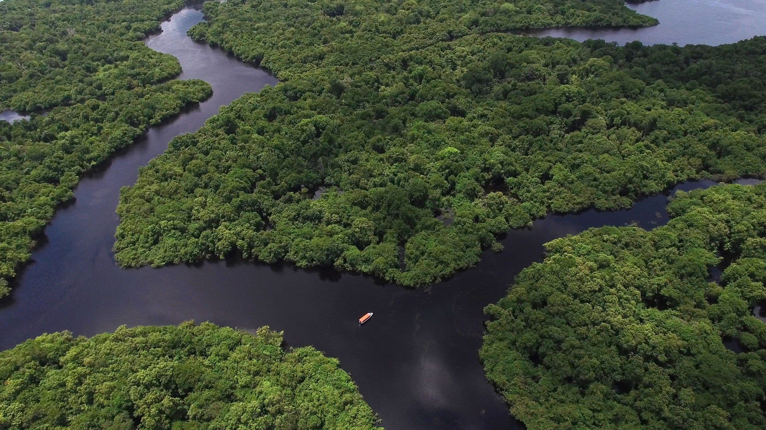 Amazônia pode impulsionar um novo ciclo econômico verde e gerar bilhões ao Brasil, aponta relatório da SB COP