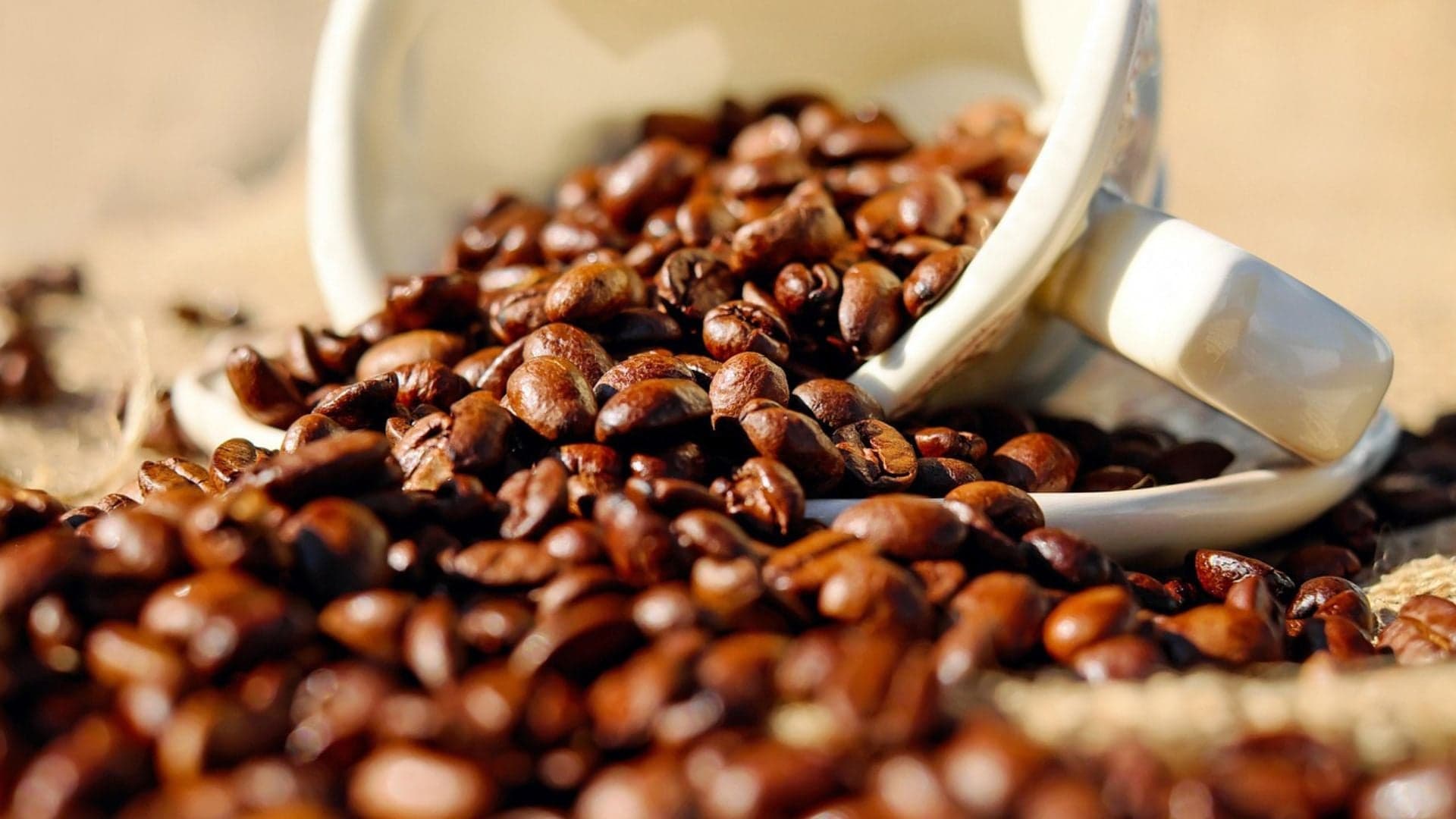 Colheita de café brasileiro avança, mas está abaixo de anos anteriores