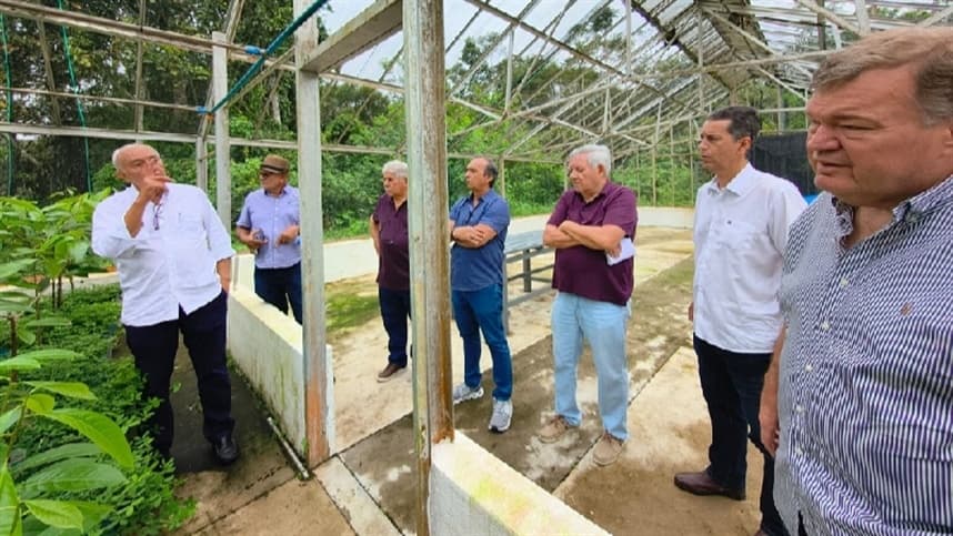 Produtores visitam Embrapa para conhecer cultivo do pau-rosa