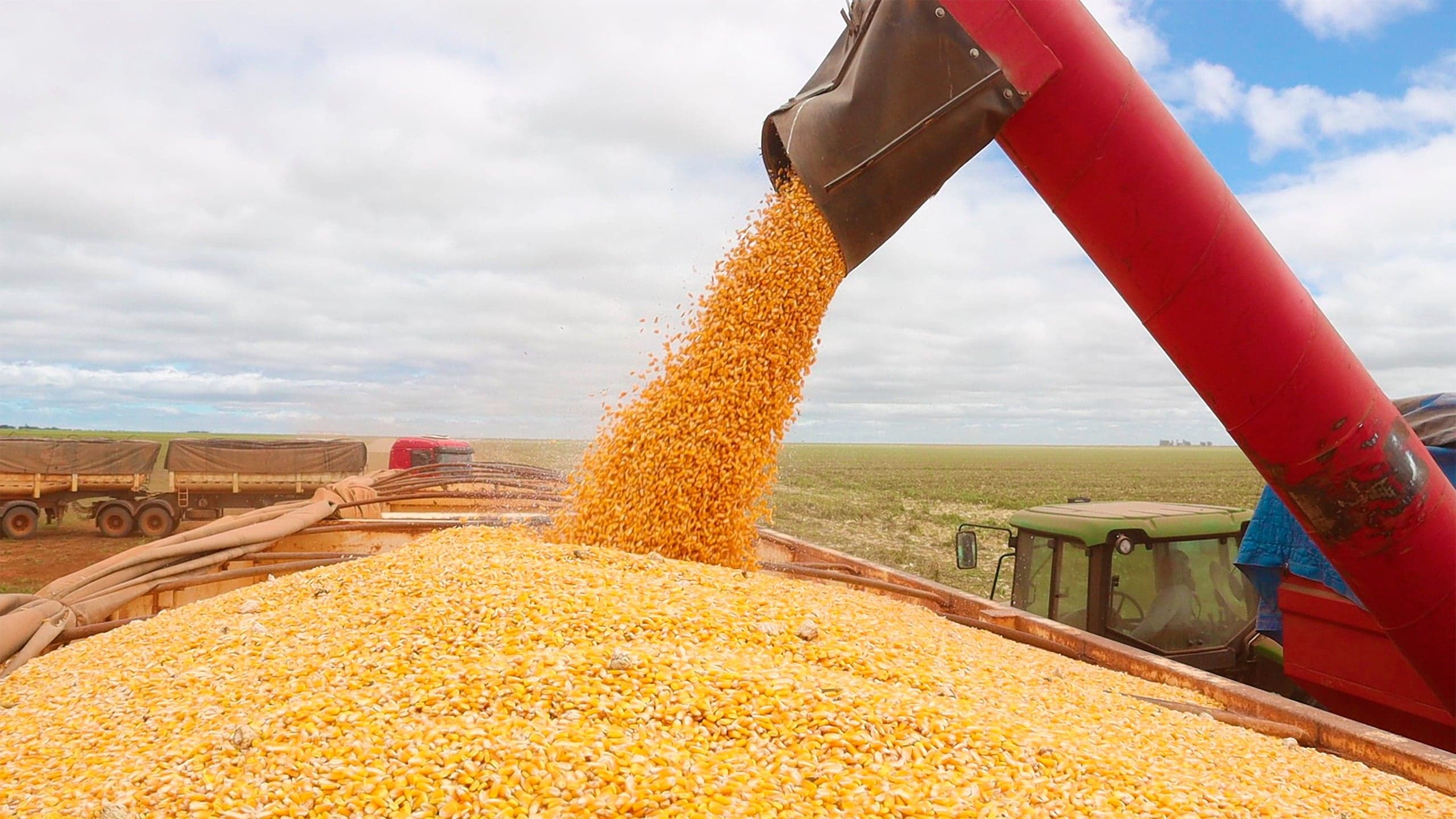 Redução das chuvas ameaça produção de segunda safra no Brasil