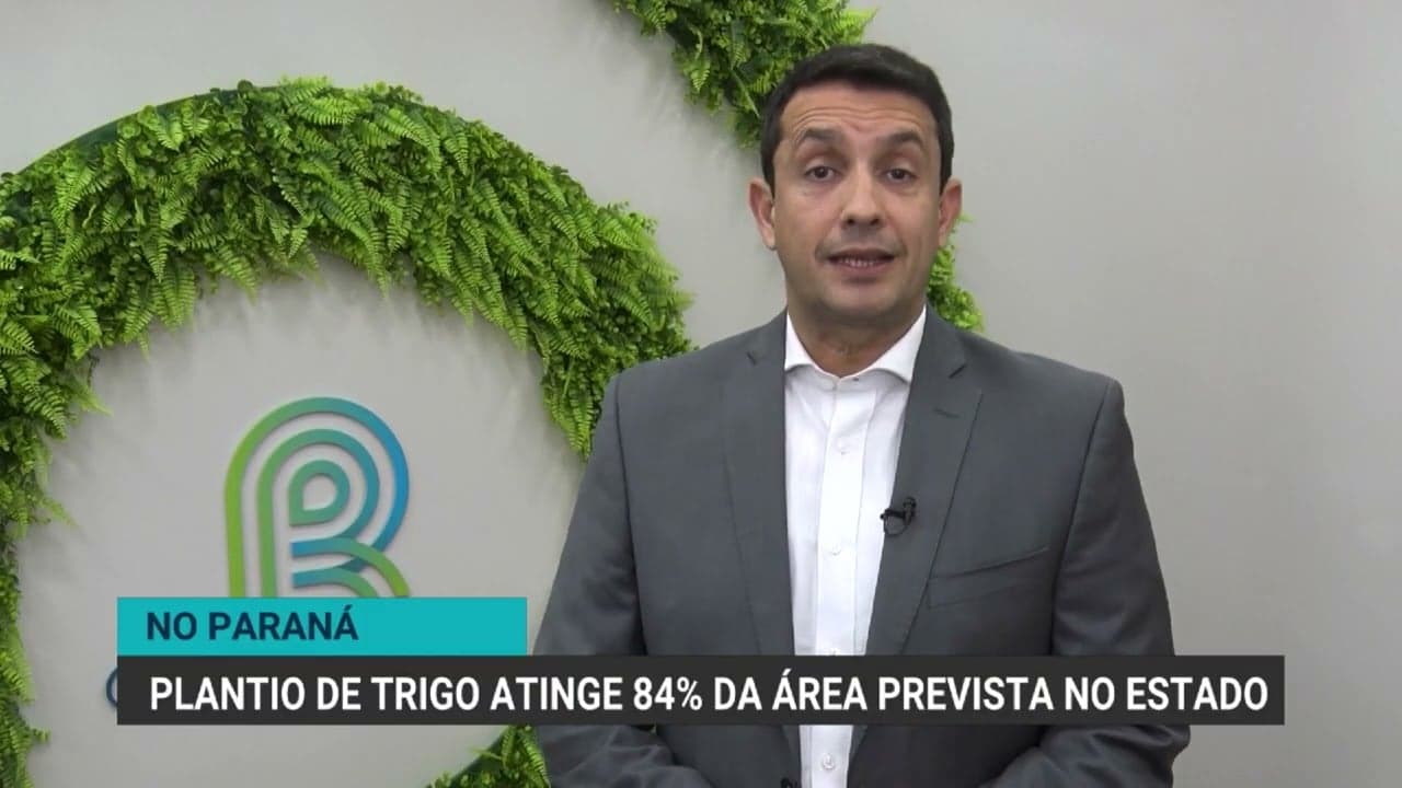 Paraná pode se tornar o maior produtor de trigo do Brasil