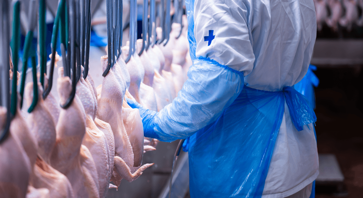 China habilita quatro empresas brasileiras para exportação de produtos animais