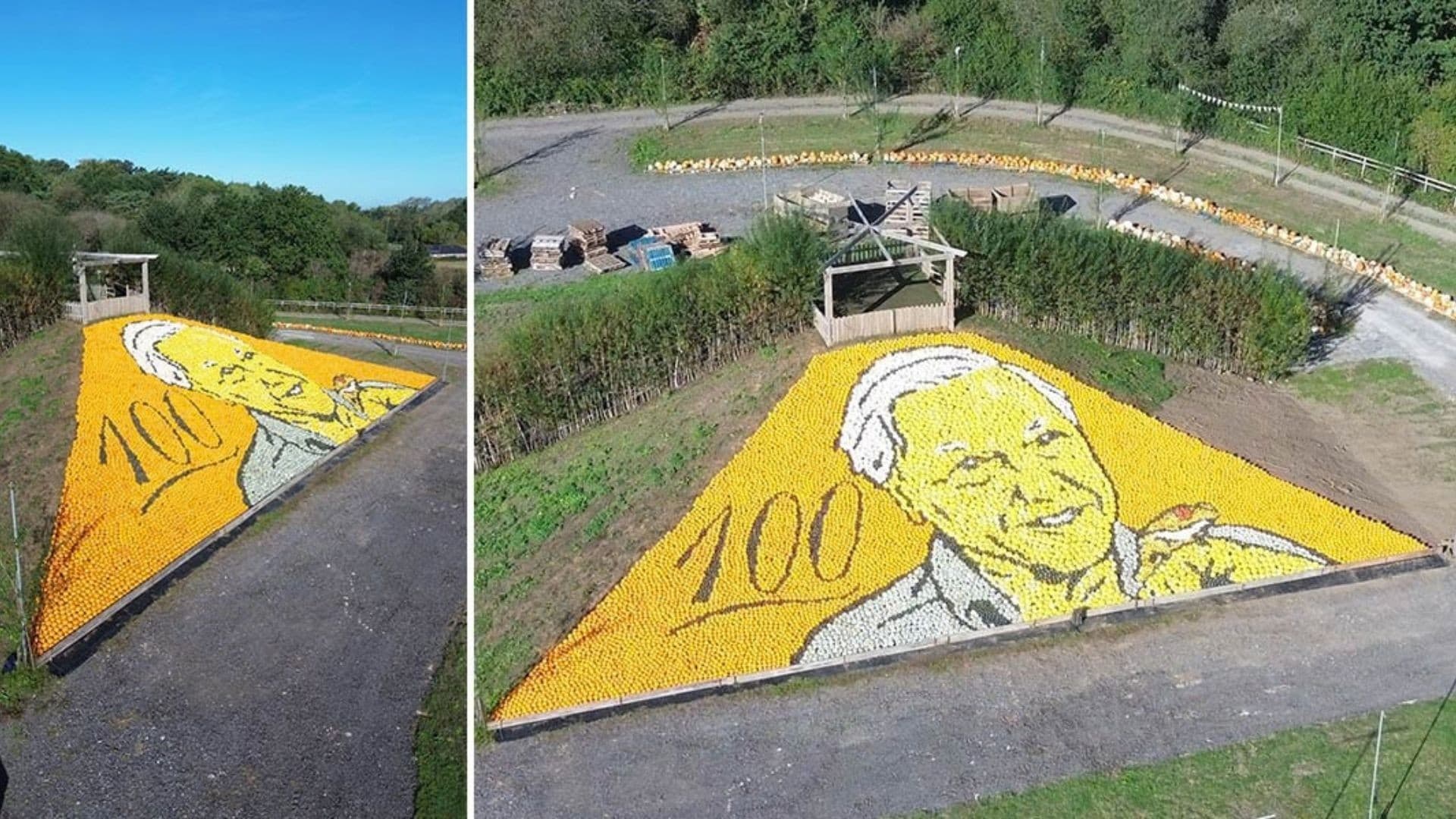 Fazendeiro britânico quebra recorde com mosaico de 11 mil abóboras