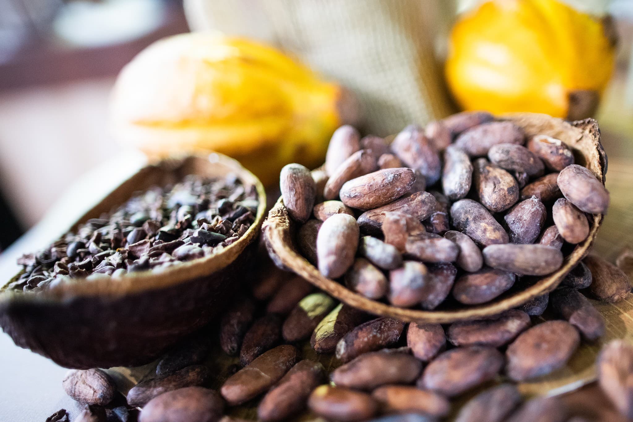 Cacau continua em queda na bolsa com demanda fraca