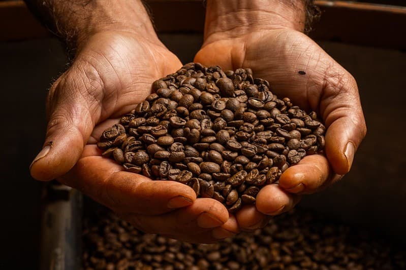 Preços de commodities agrícolas sobem em Nova York, com café em destaque