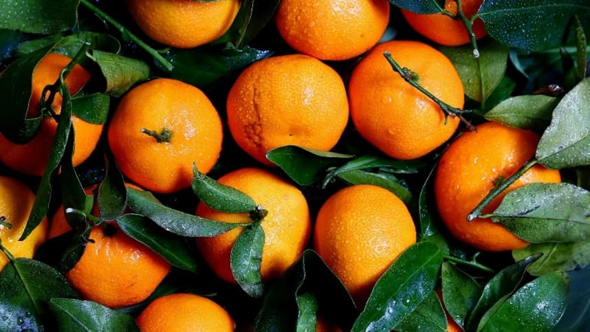 Produção de laranja em São Paulo e Minas Gerais é revisada para 263,2 milhões de caixas