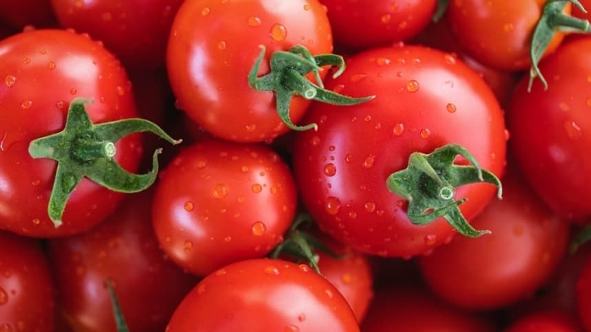 Tomate segue em alta pelo segundo período seguido