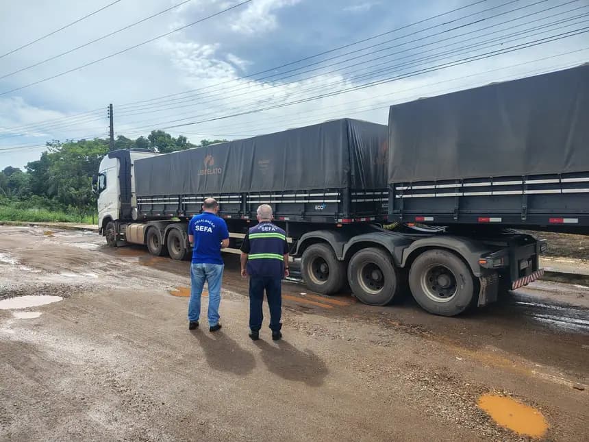Cachoeira do Piriá: Sefa apreende 17 toneladas de mel de abelha em ação fiscal