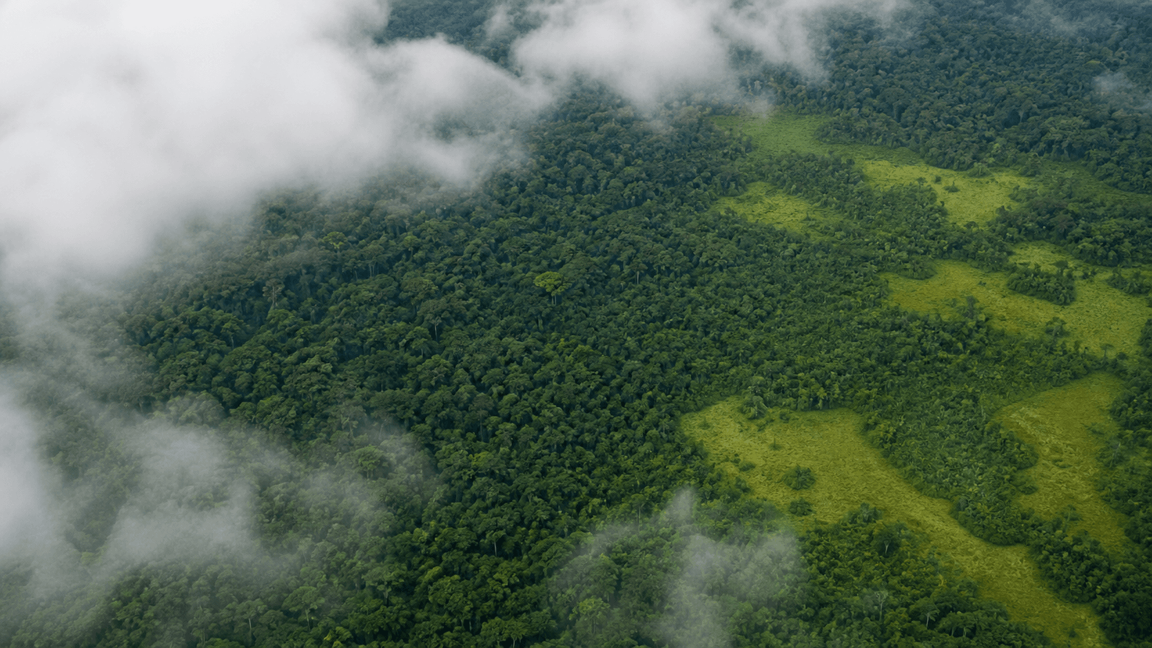 Câmara debate redução do desmatamento e mudanças na legislação ambiental
