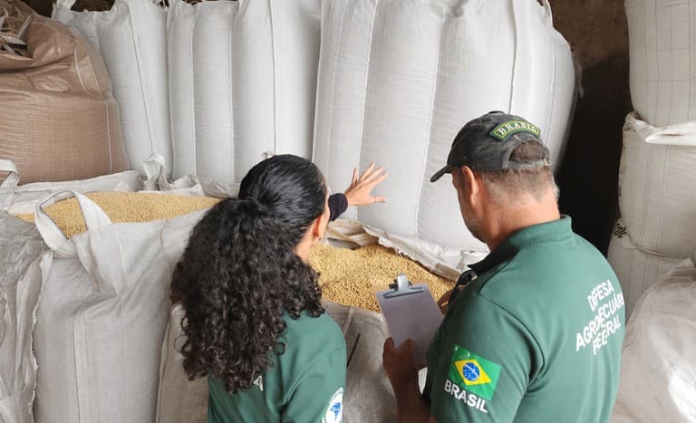 Operação Semente Segura III apreende 1.400 toneladas de sementes irregulares